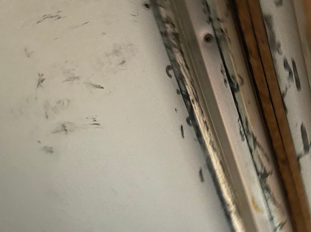 Sentinus Beach Hotel主图