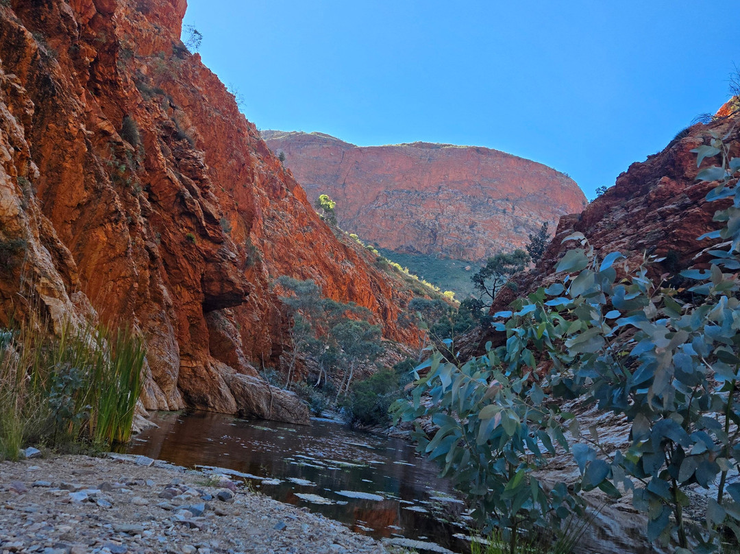 Larapinta Trail Trek Support-爱丽斯泉必去景点