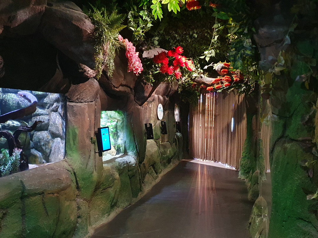 The National Aquarium Abu Dhabi景点图片