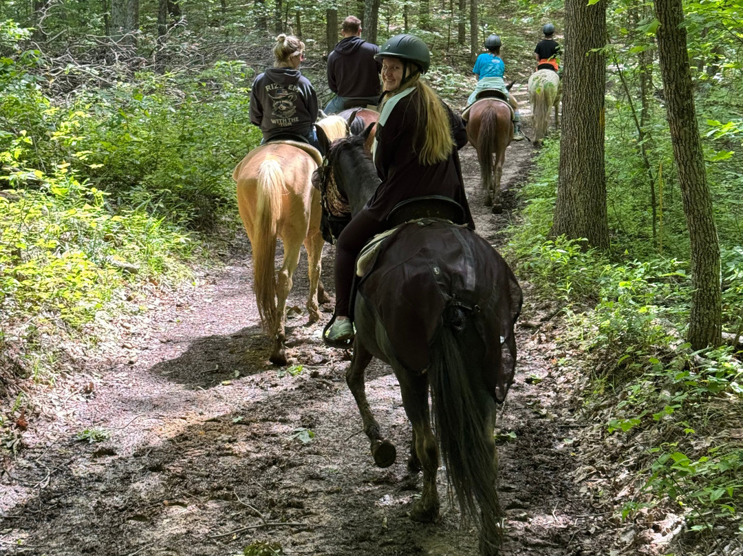 Uncle Buck's Riding Stable-New Marshfield必去景点