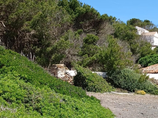 Cala Morella Nou-Mahon必去景点