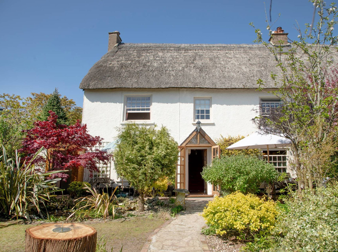 Weston酒店住宿-Jasmine Cottage