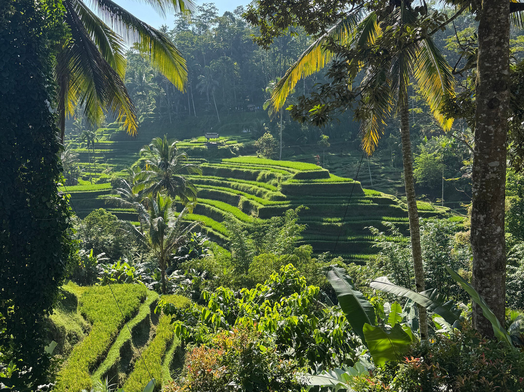 Bali Hai Adventure Tours-吉安雅必去景点