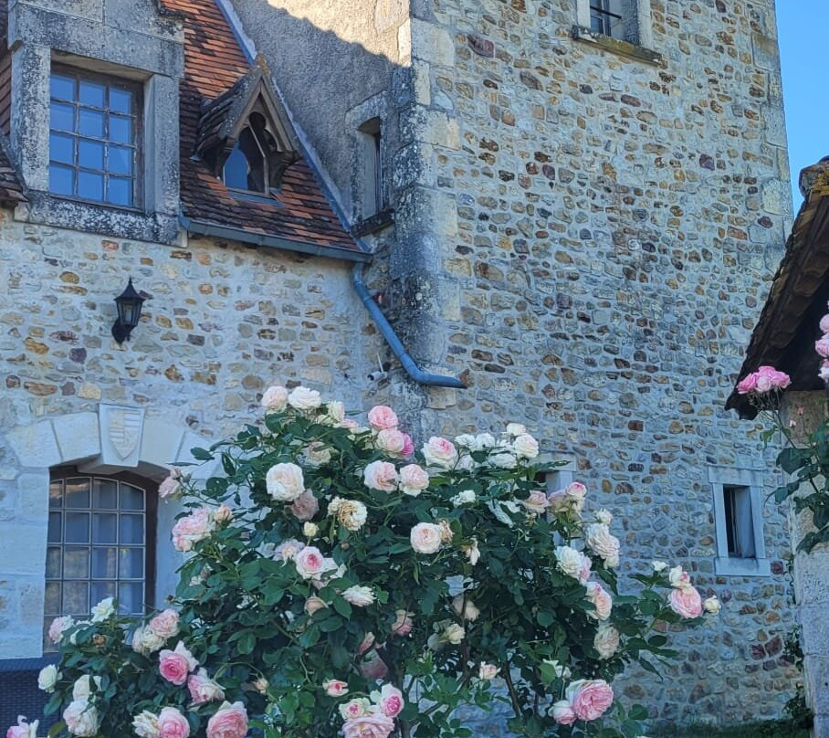 Le Manoir De Pierre Levee主图