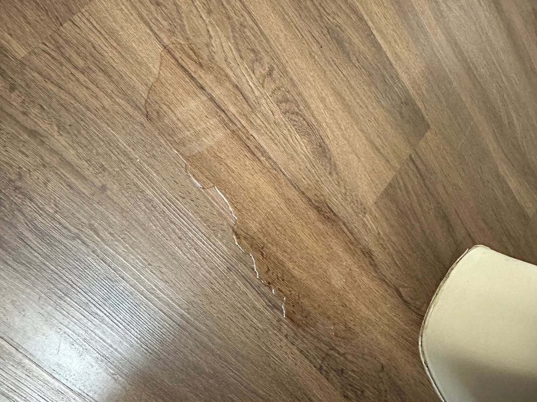 Microtel Inn & Suites by Wyndham Ocala主图