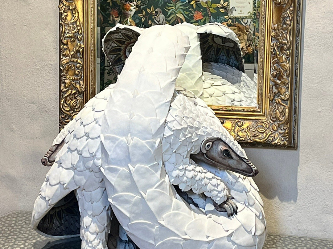 Ardmore Ceramics景点图片