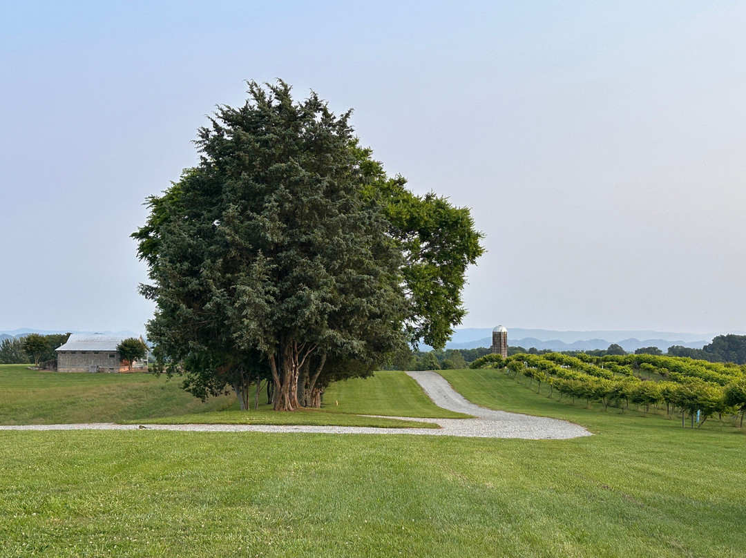 Tsali Notch Vineyard-Madisonville必去景点
