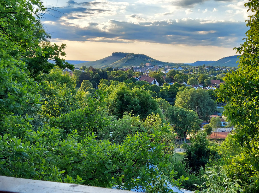 Hotel und Gutsgaststatte Rappenhof主图