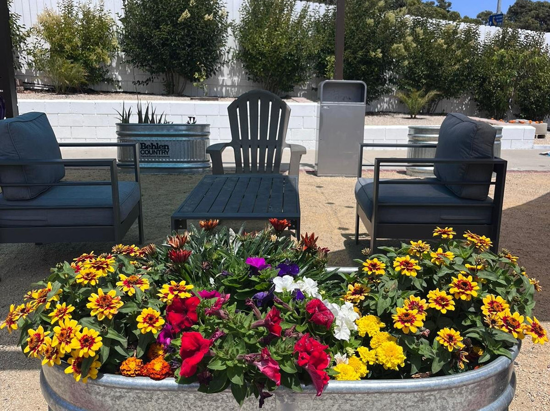 大洋棕榈汽车旅馆主图