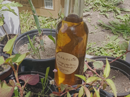 Alfa-flor Casa Y Jardín