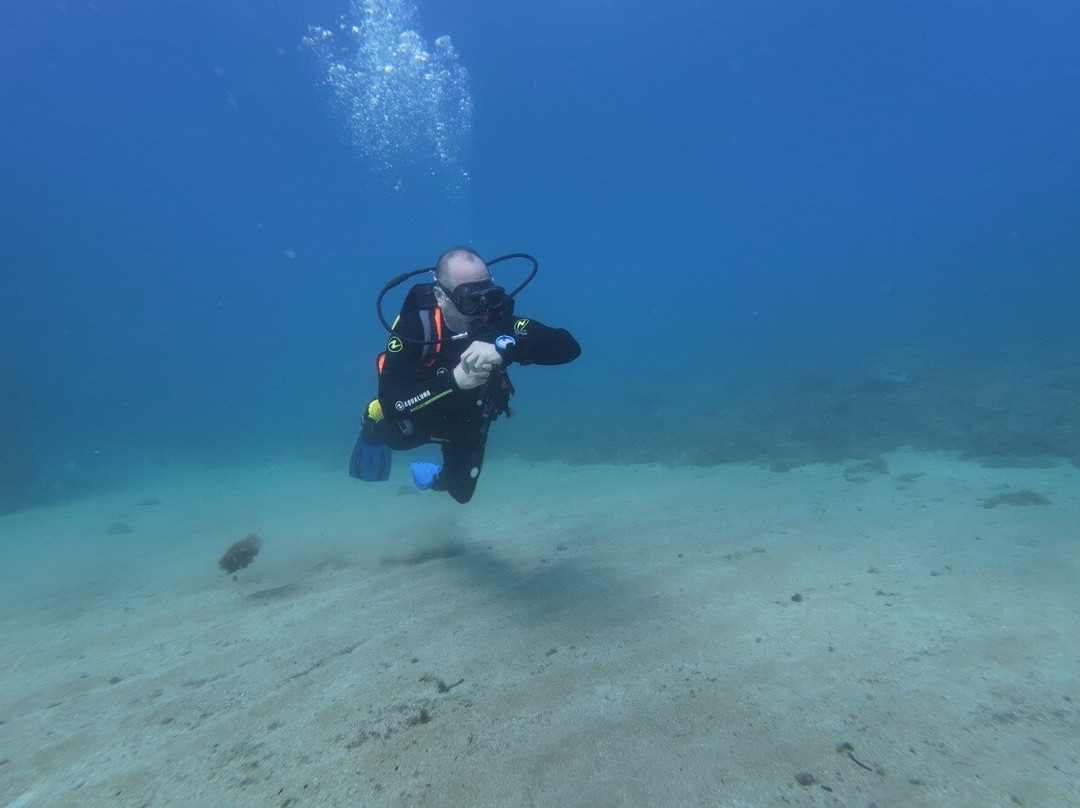 Mardays Dive & Water Experience景点图片