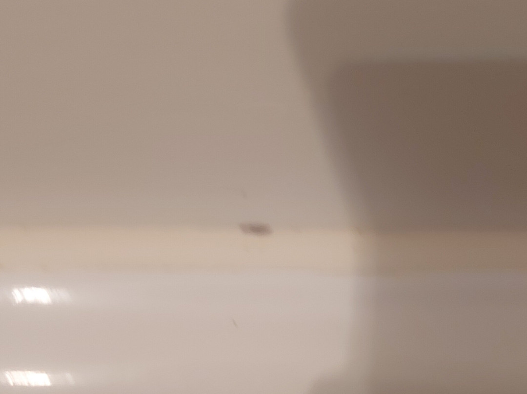 祖姆本奈迪克汀弗拉尔酒店主图