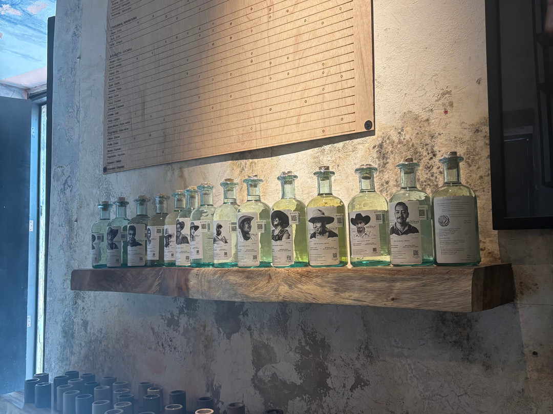 Xoul Art & Mezcal-巴利亚多利德必去景点