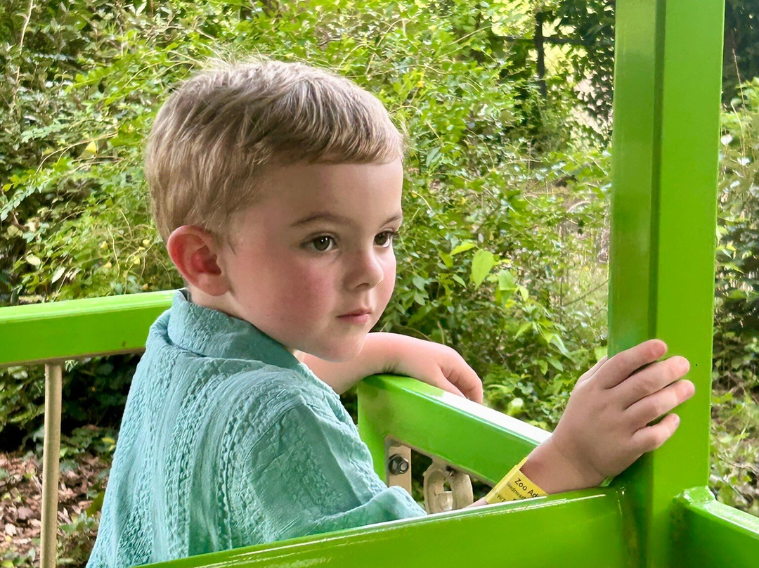 Montgomery Zoo-蒙哥马利必去景点