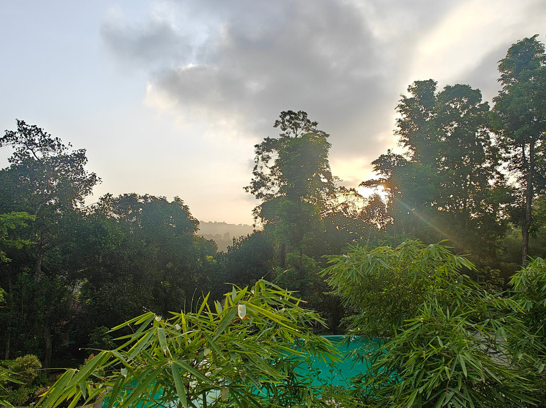 Crystal Kuruva Nature Resort & Spa主图