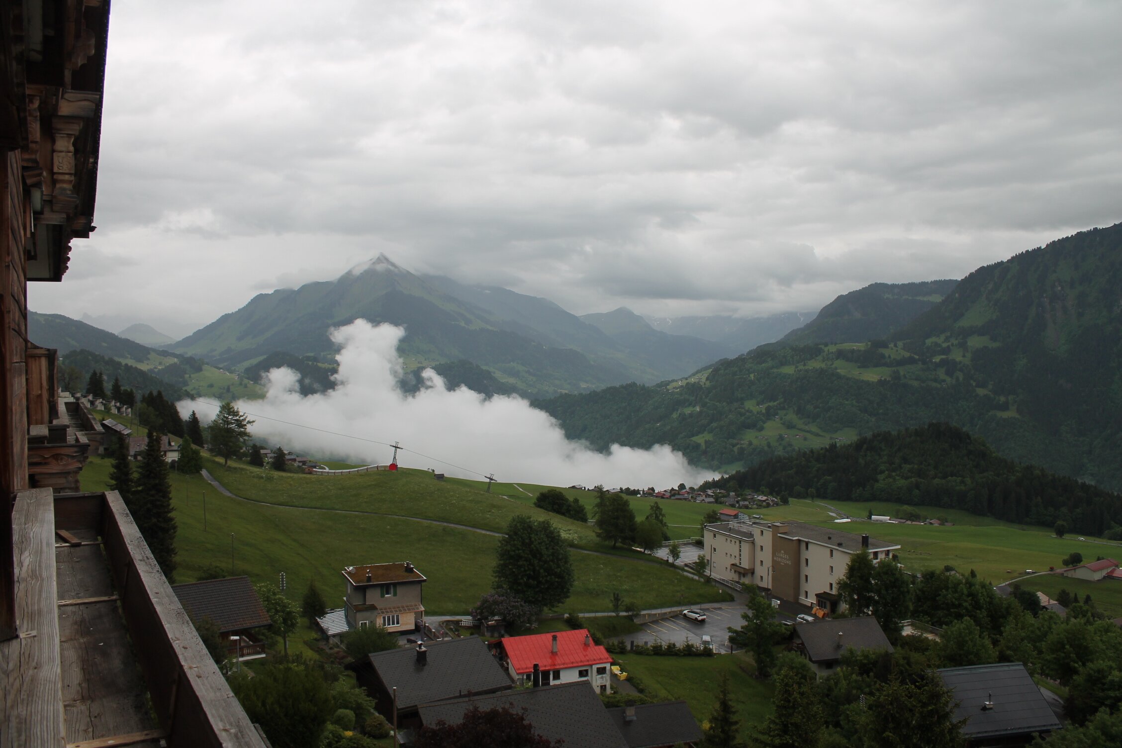 Hotel Le Grand Chalet-酒店景观