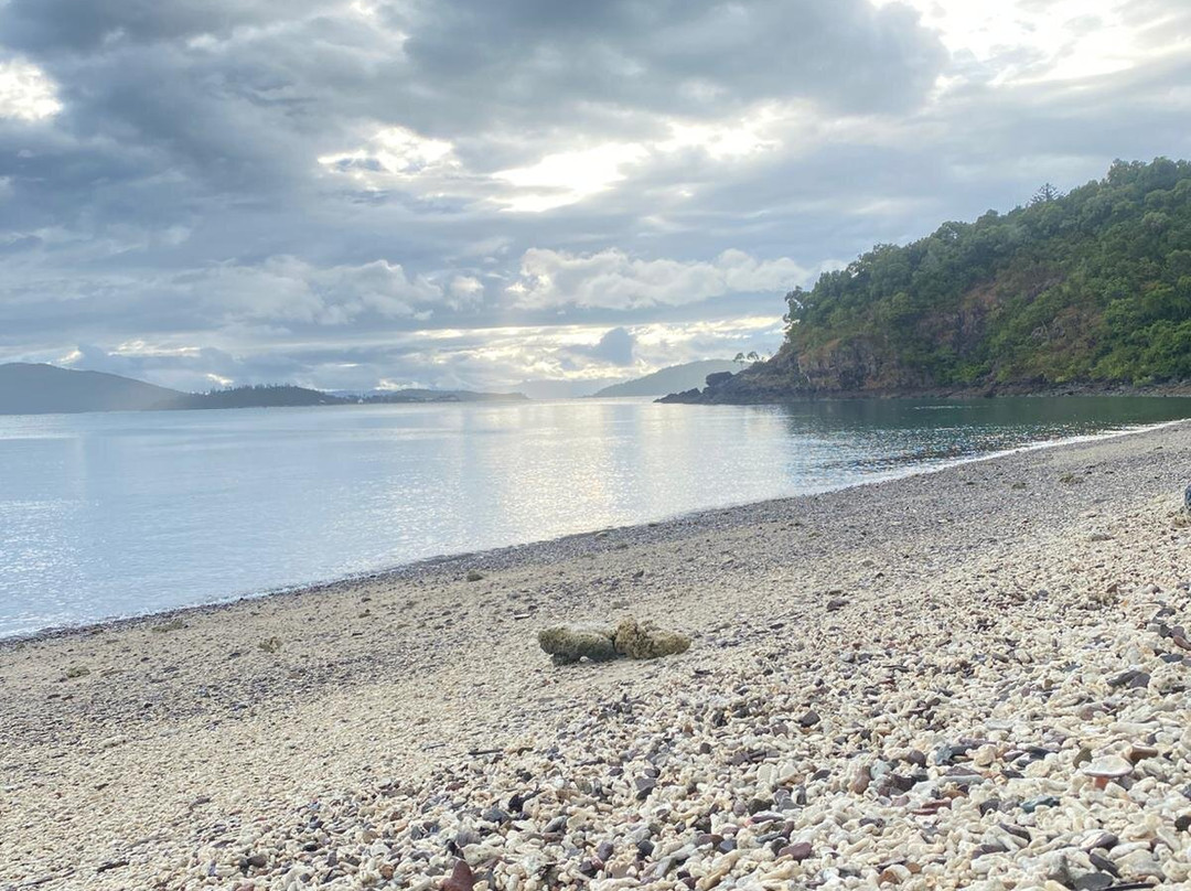 Coral Beach and the Beak, Conway National Park-舒特港必去景点