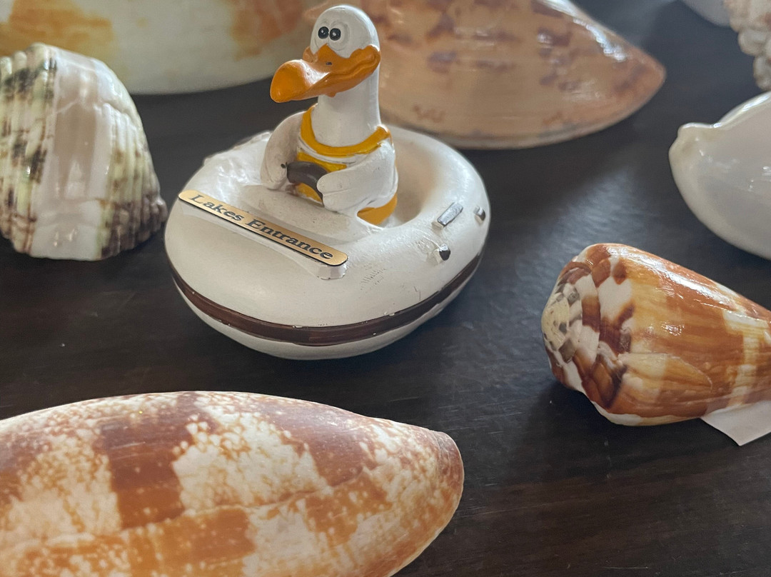 Griffiths' Sea Shell Museum & Marine Display-莱克斯恩特伦斯必去景点