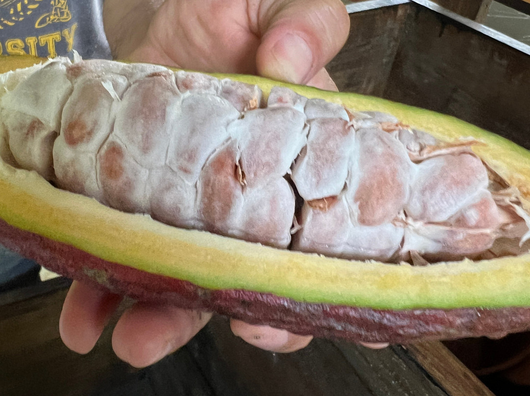 Bici Chocolate Tour-San Isidro必去景点