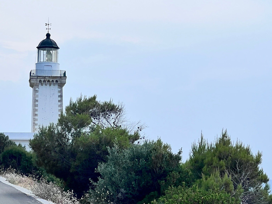 Skopelos Taxi & Tour Services - Zahos Stamoulis景点图片