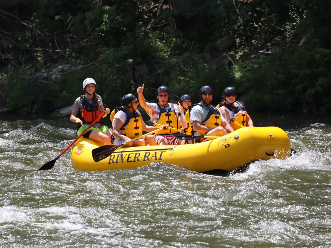 River Rat Whitewater Rafting-Hartford必去景点