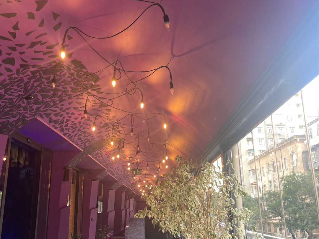 Evolution Lounge Rooms