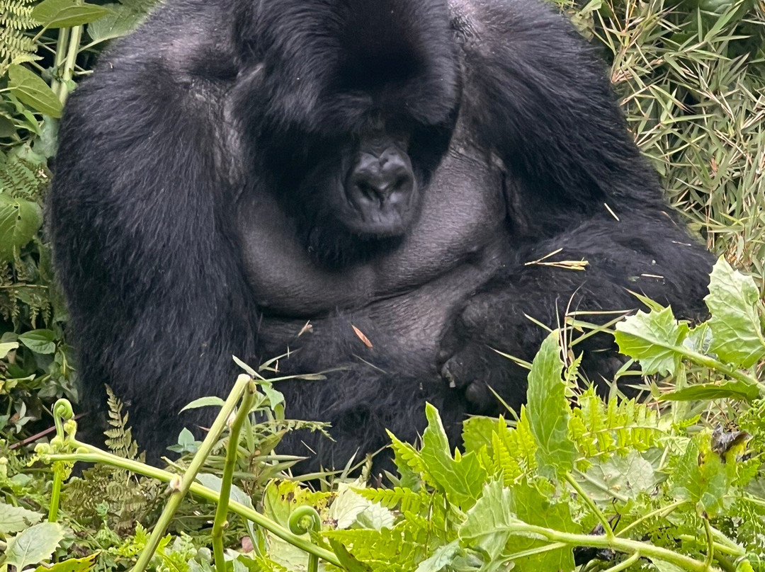 Explore RwandaTours-吉佳利必去景点