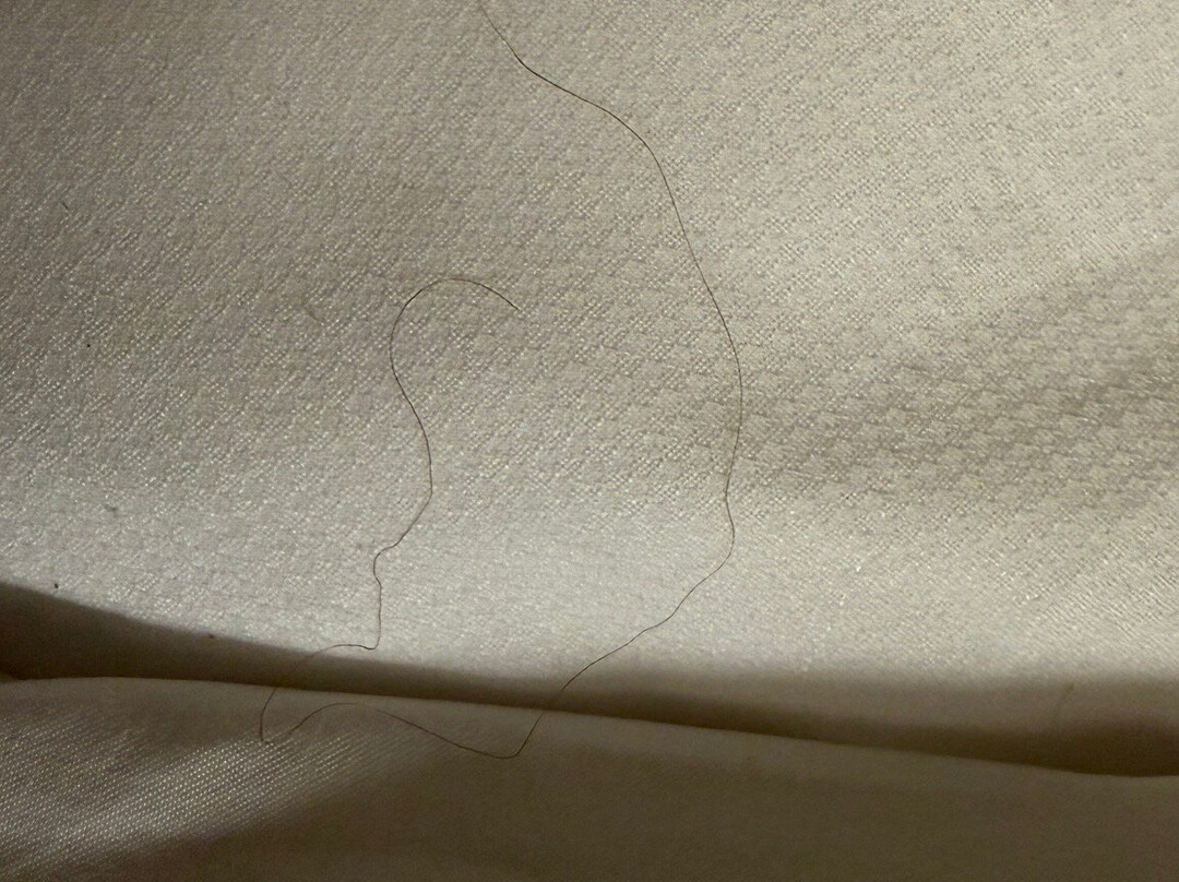 克里斯蒂安堡／布莱克斯堡温德汉姆麦克罗特酒店主图