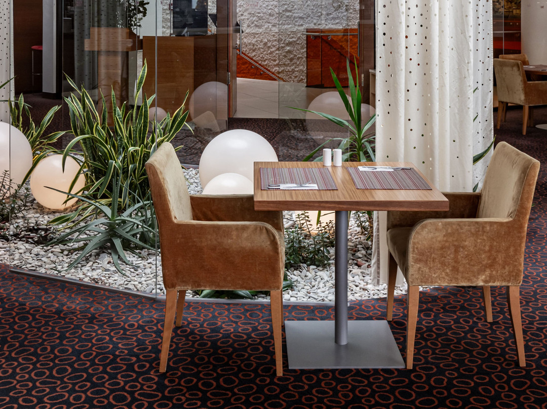 Shushary酒店住宿-Airportcity Plaza St.Petersburg Hotel