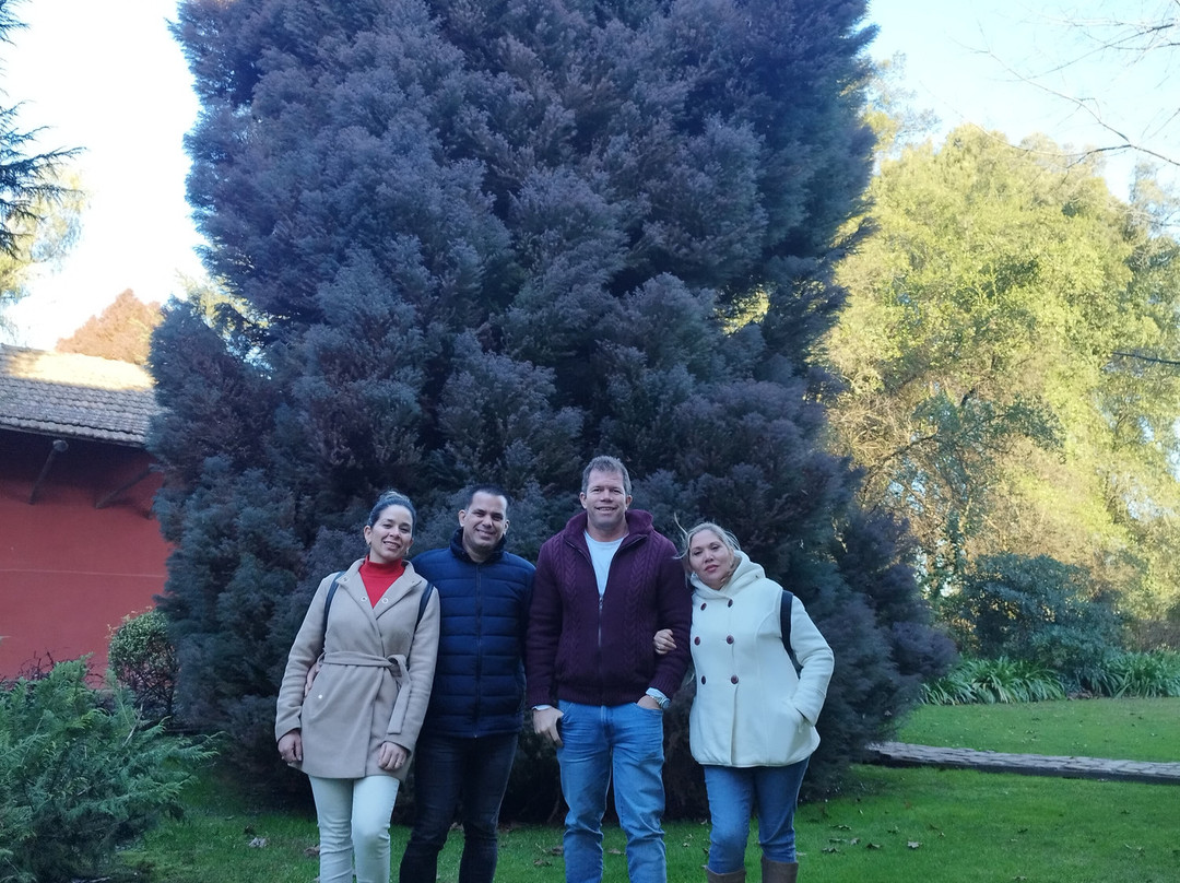 Viña Terranoble-San Clemente必去景点