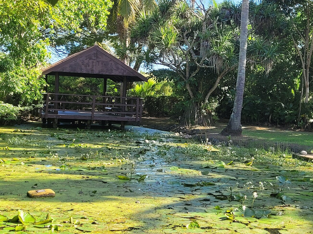 壁虎度假村主图