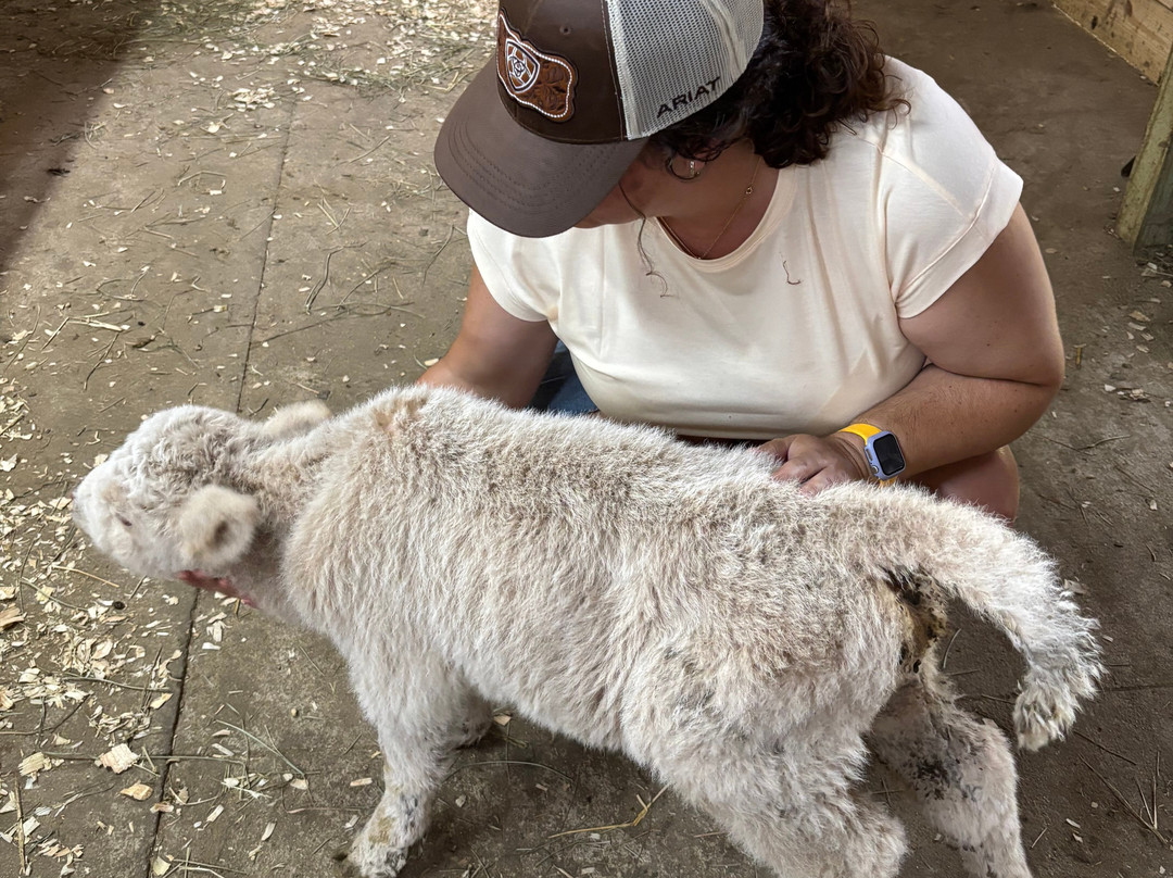 Picture Picture Ranch-Lancaster必去景点