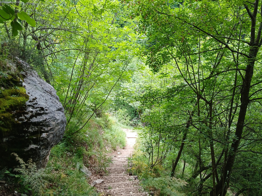 Riserva Naturale Statale Valle dell'Orfento-Caramanico Terme必去景点