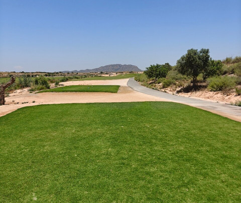 New Sierra Golf-Balsicas必去景点