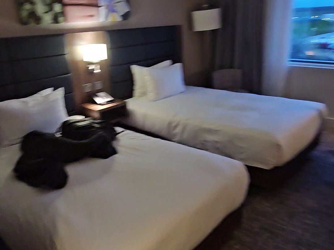 Hilton Garden Inn Birmingham Airport主图