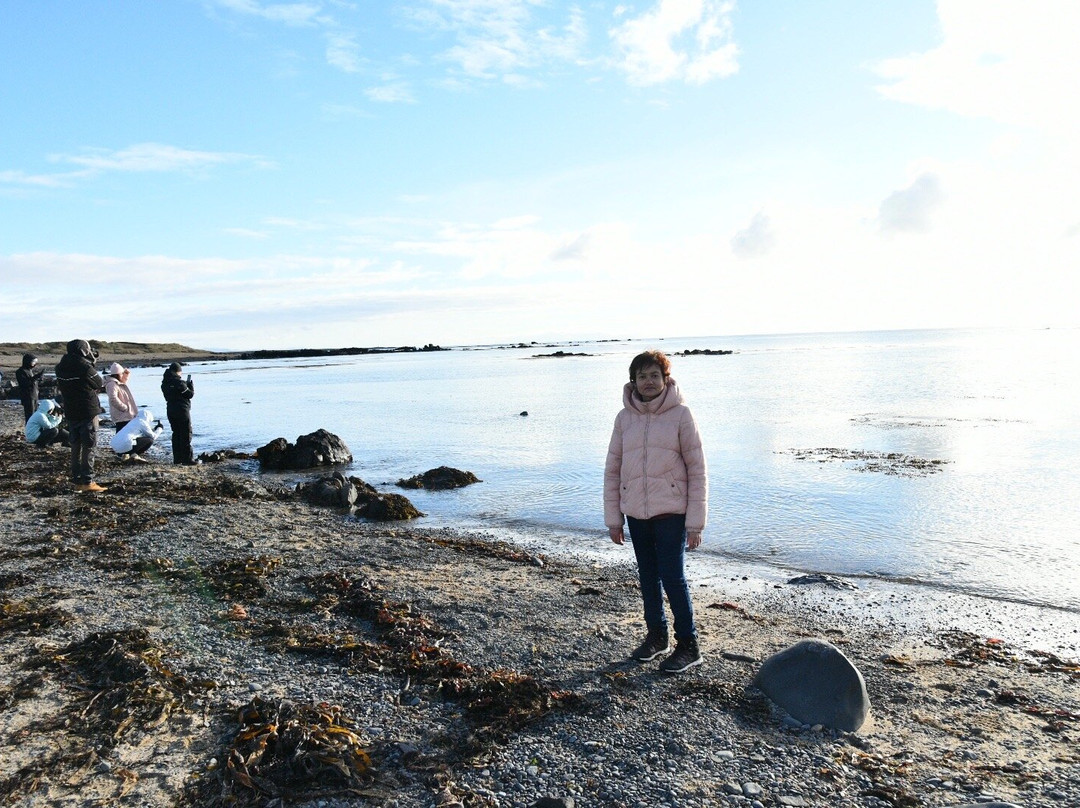 Ytri Tunga Beach-布迪尔必去景点
