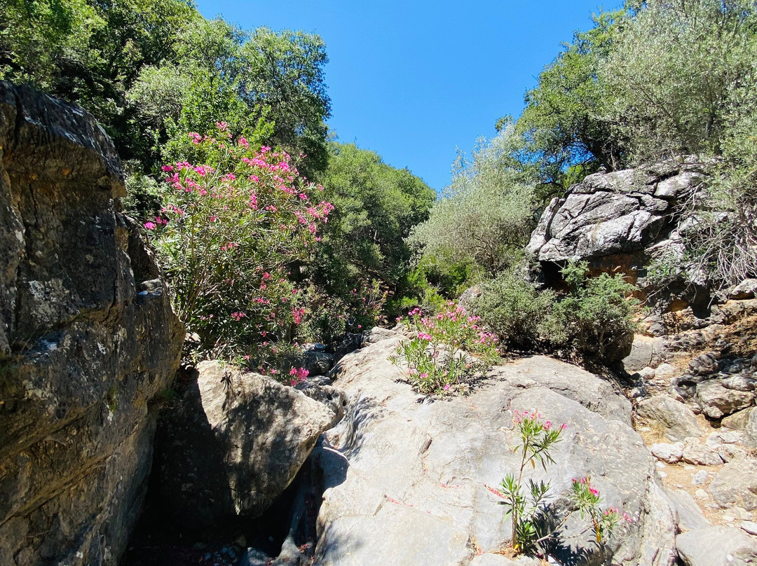 Kritsa Gorge-Kritsa必去景点