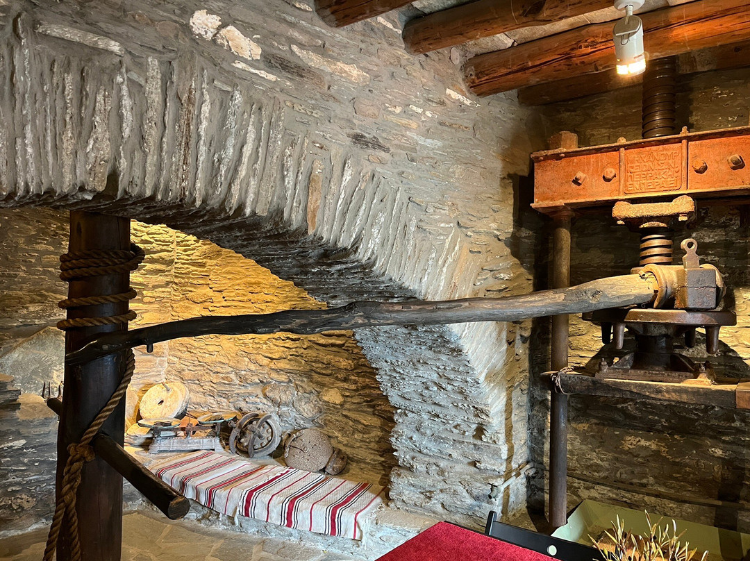 Cyclades Olive Museum-Pitrofos必去景点