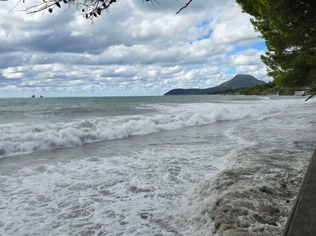 Bar Beach-Bar必去景点