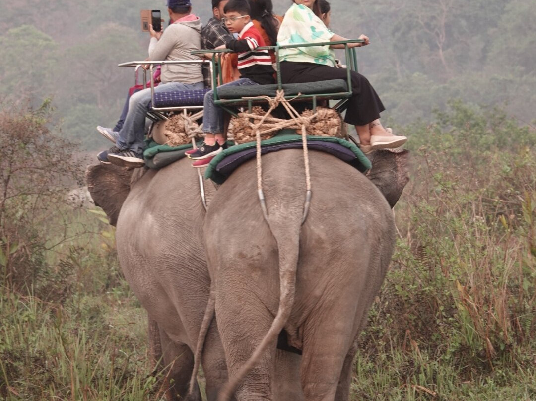 Jaldapara National Park-Alipurduar District必去景点