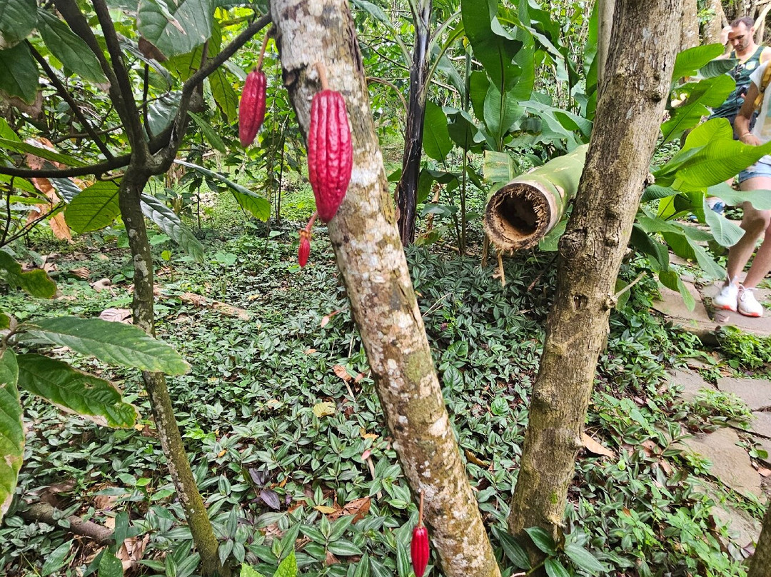 Vanibel-Vieux-Habitants必去景点