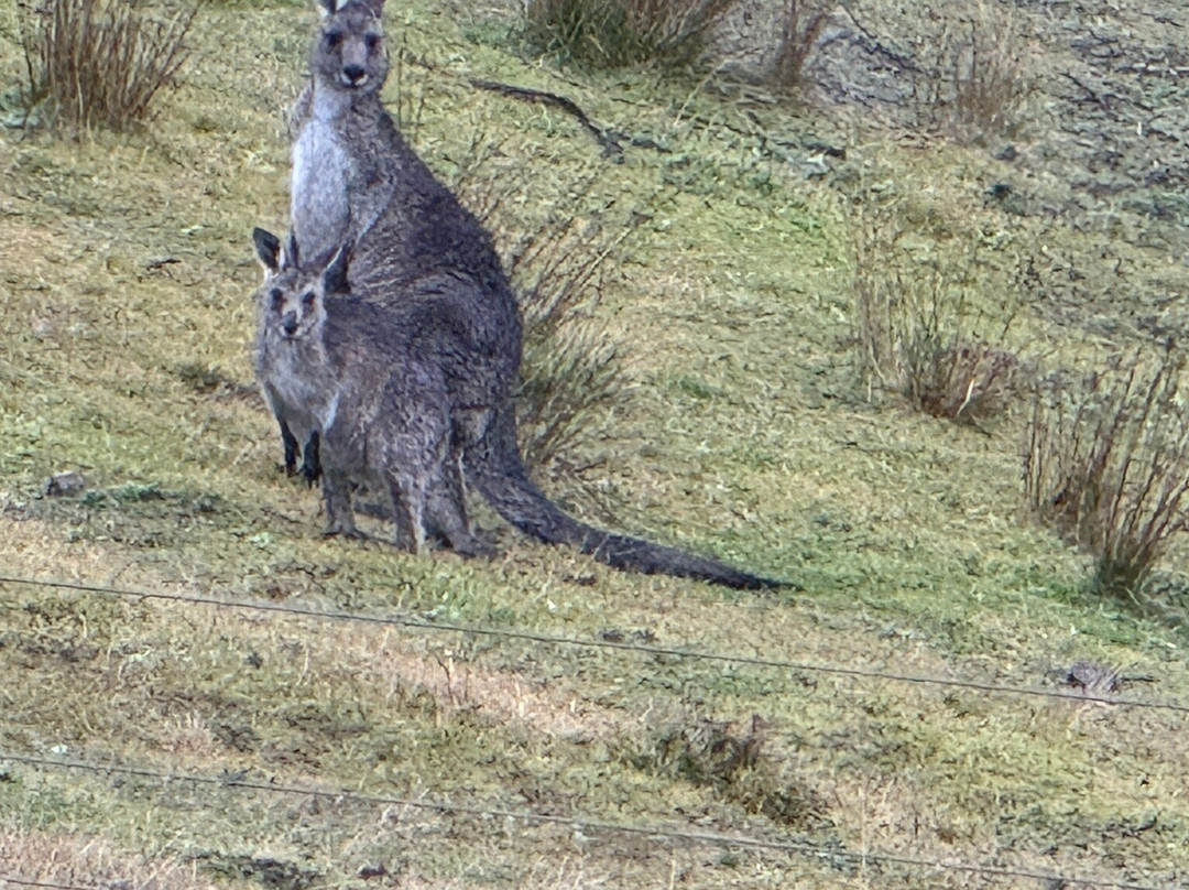 Springmead B&B主图