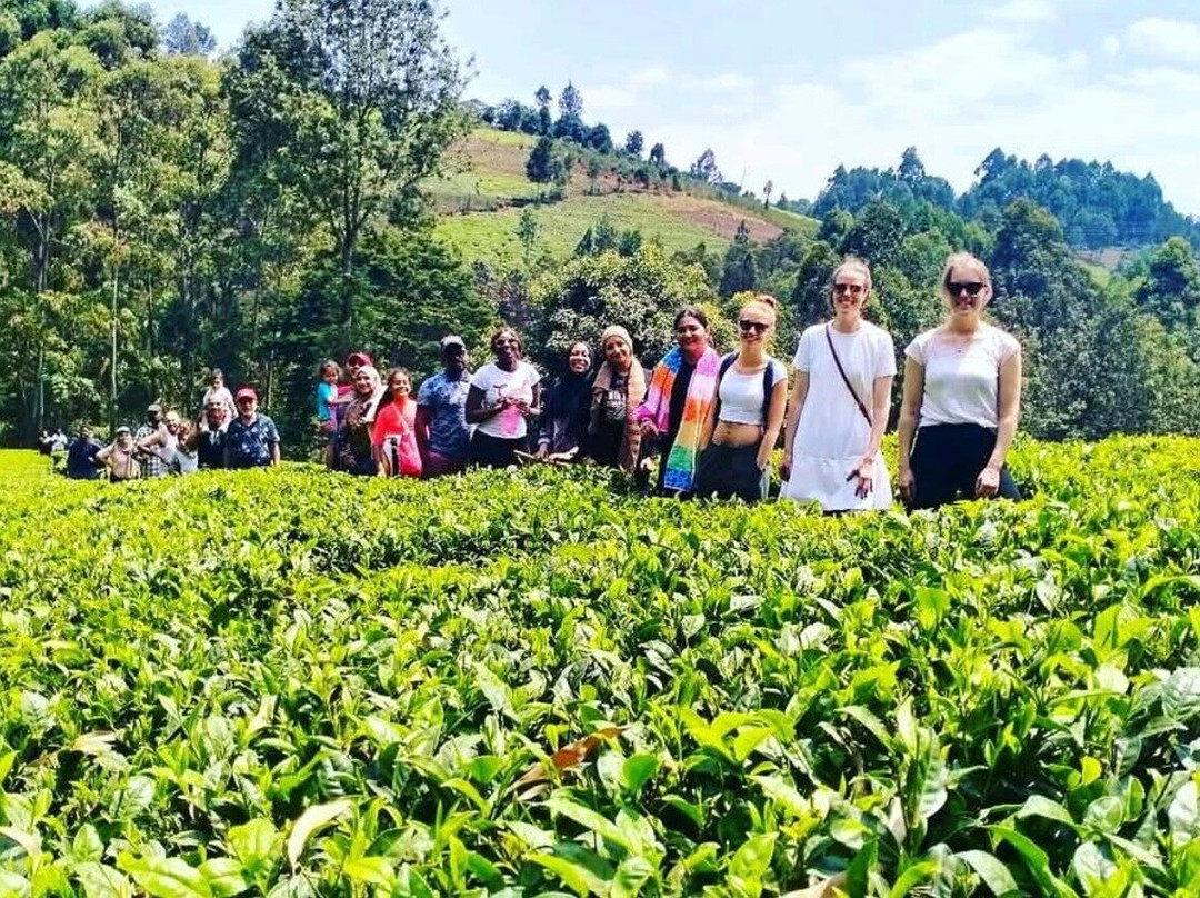 NIVLEK TOURS-内罗毕必去景点