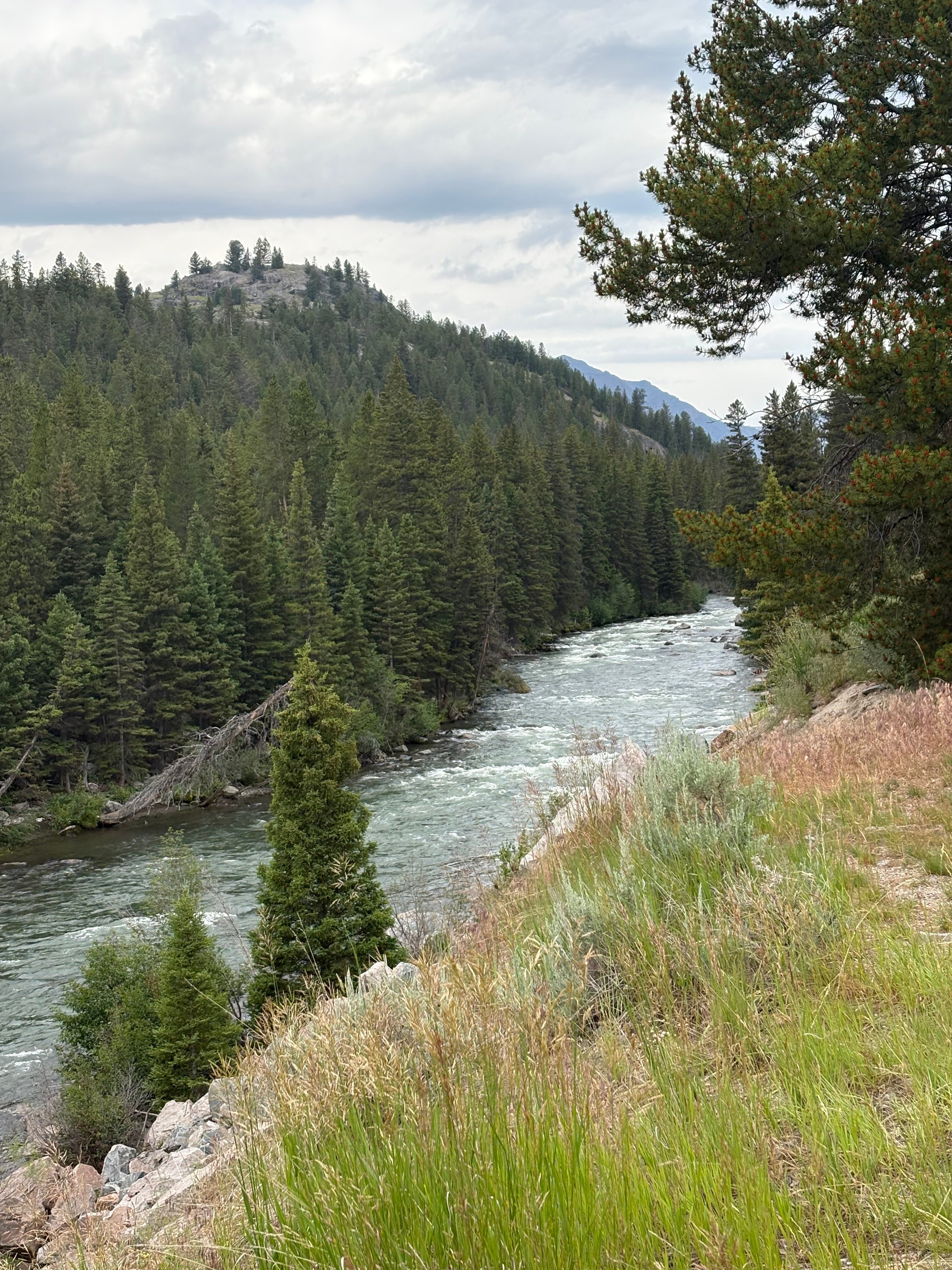 Moose Creek Lodge and Suites-官方