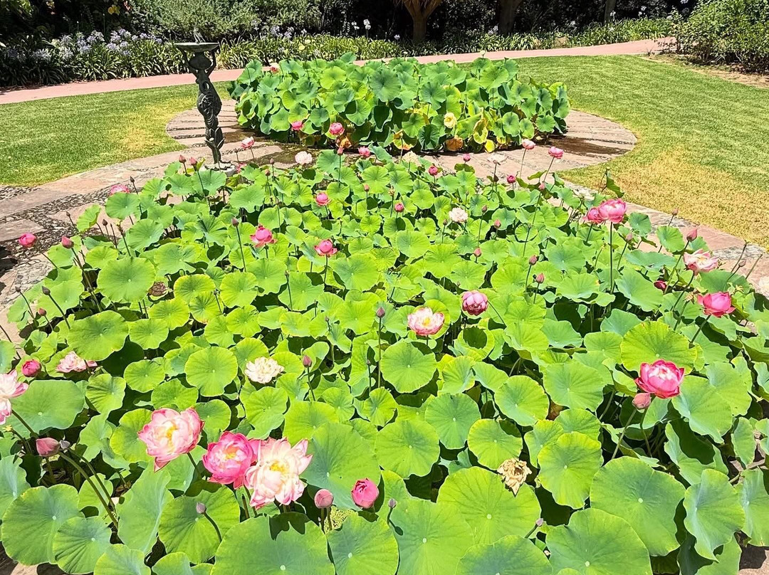 Jardin Botanico Historico La Concepcion-马拉加必去景点