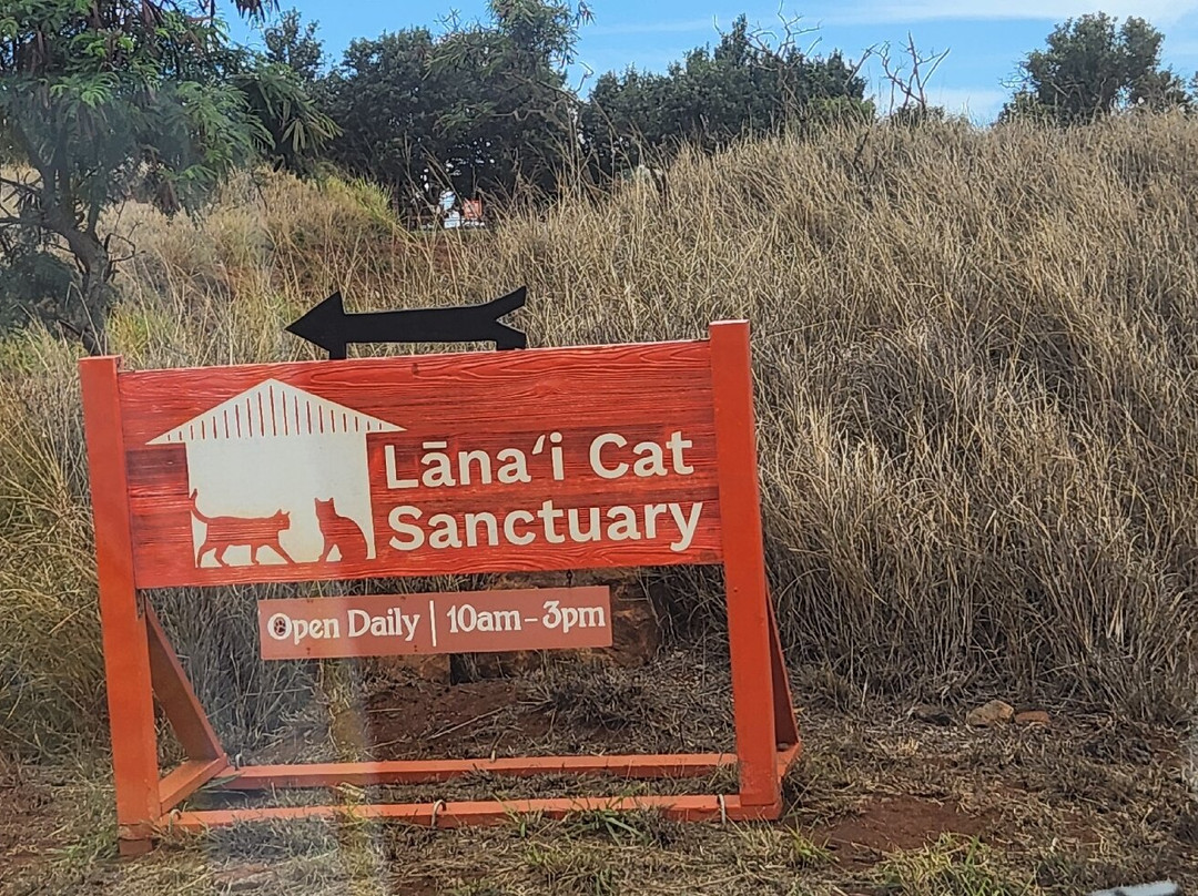Lanai Jeep Rentals-拉奈市必去景点