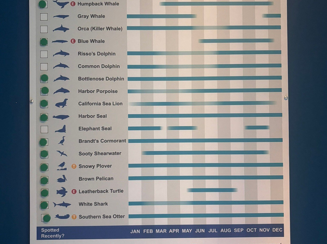 Monterey Bay National Marine Sanctuary Exploration Center-圣克鲁斯必去景点