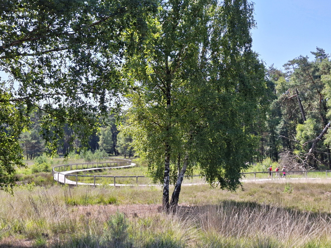 Moorerlebnisweg-韦瑟尔必去景点