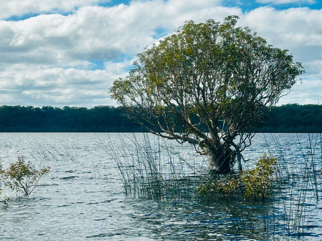 SeaLink K'gari (Fraser Island)-River Heads必去景点