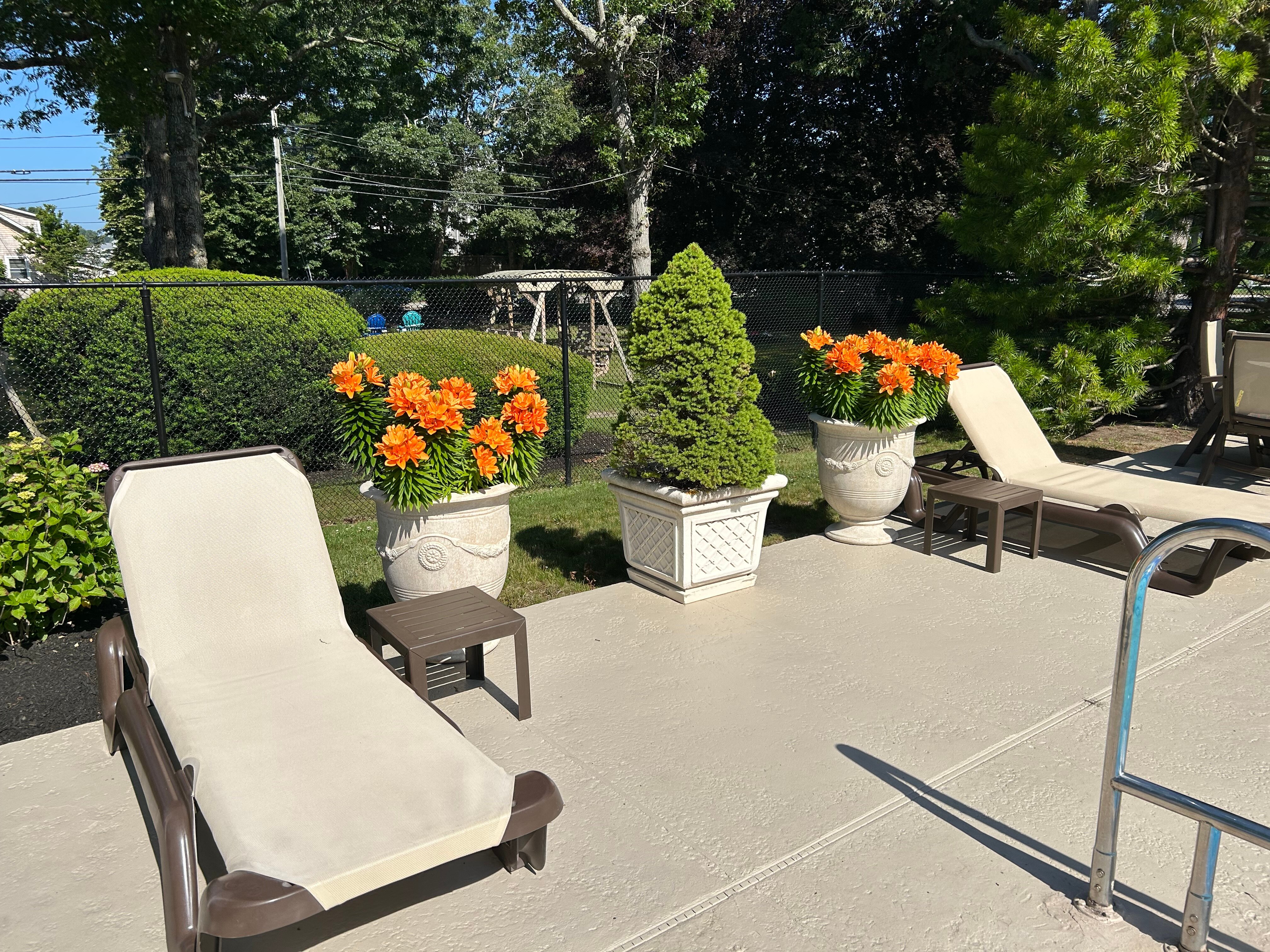 Falmouth Heights Resort & Lodge-泳池
